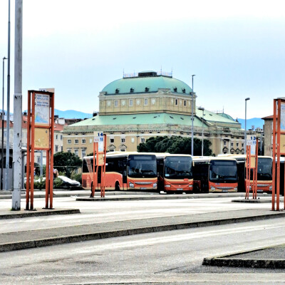 Bus