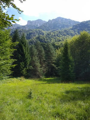 Img 20190818 111938