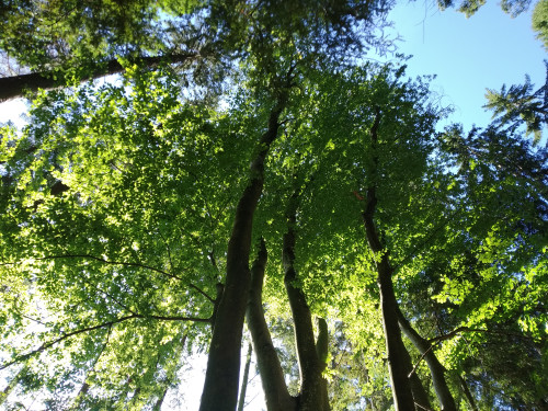 Img 20190911 095648